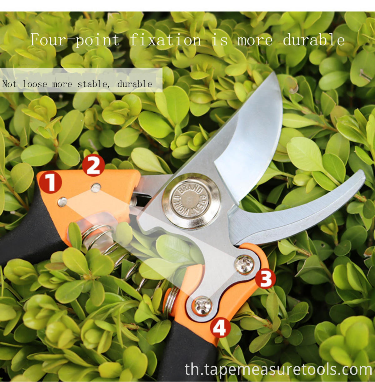 เครื่องมือสวน Gardening Shears สาขากรรไกรกรรไกรตัดแต่งกิ่งบ้านสวน Fine Pruning Grafted ผลไม้กรรไกร